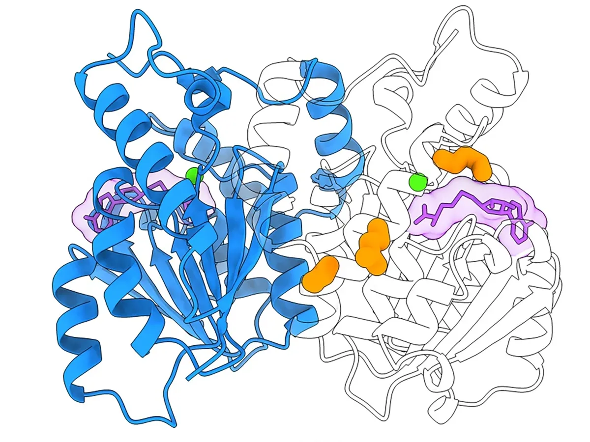 Ellington Lab Research